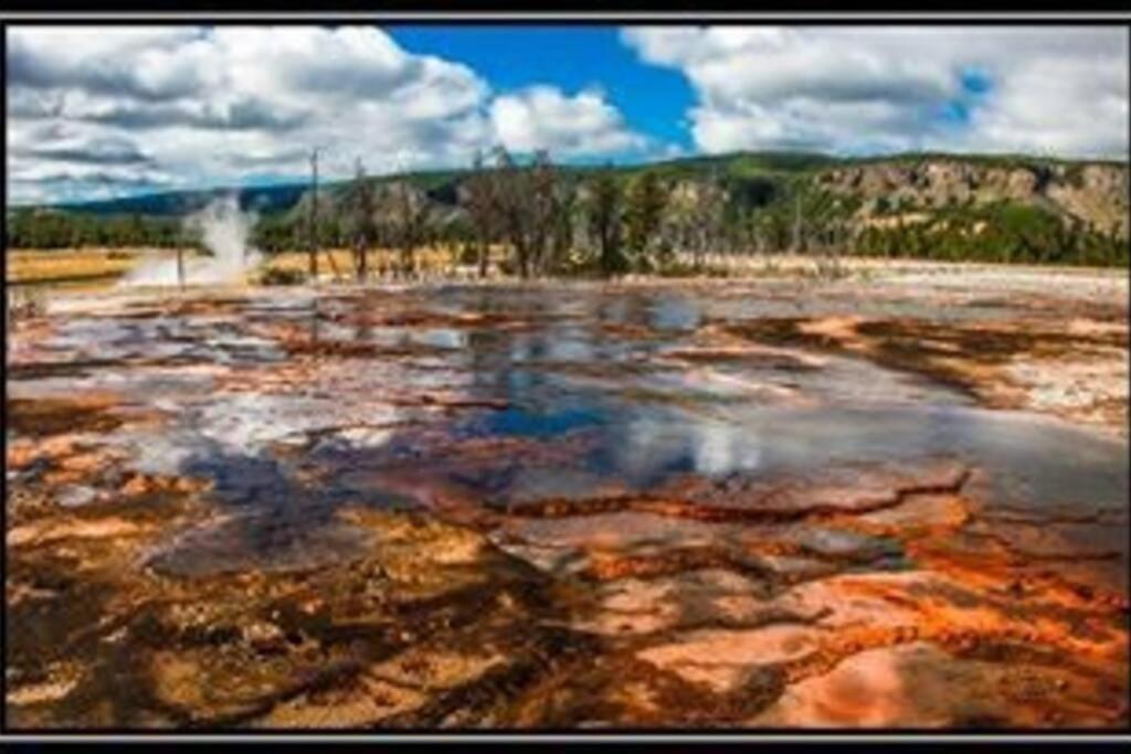 White Owl Retreat Yellowstone Grand Teton アイランド・パーク エクステリア 写真